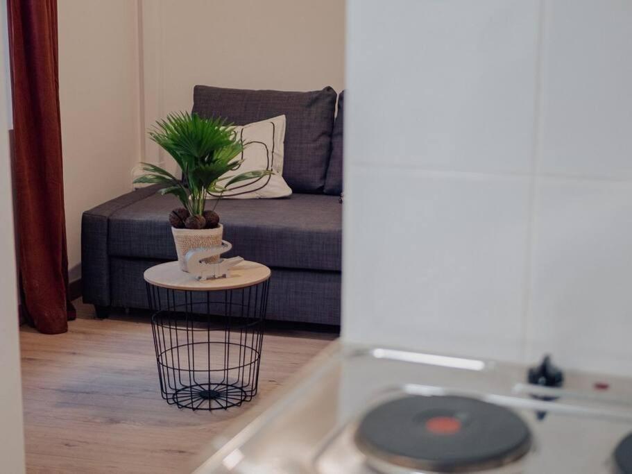 L'ecrin - Le Cocoon Doree Apartment Nîmes